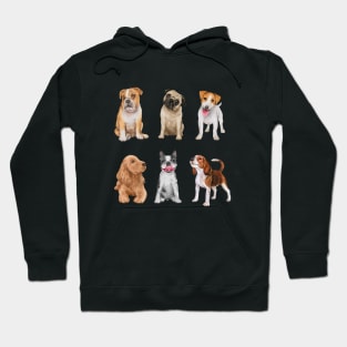 Dogs Breeds Collection Hoodie